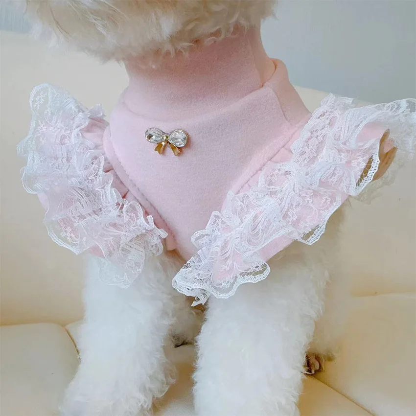 Lace Teddy Lingerie - Pakaian hewan peliharaan musim gugur dan