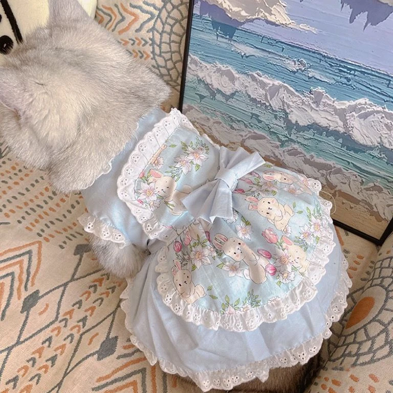 Lace Teddy Lingerie - Gaun celemek lucu hewan peliharaan gaun
